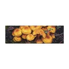 Orange Mushrooms In Patagonia Forest, Ushuaia, Argentina Sticker Bumper (10 Pack) by dflcprintsclothing