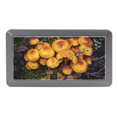 Orange Mushrooms In Patagonia Forest, Ushuaia, Argentina Memory Card Reader (mini) by dflcprintsclothing