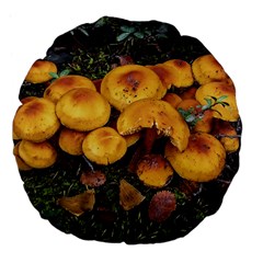Orange Mushrooms In Patagonia Forest, Ushuaia, Argentina Large 18  Premium Flano Round Cushions by dflcprintsclothing