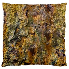 Rusty Orange Abstract Surface Large Cushion Case (one Side) by dflcprintsclothing
