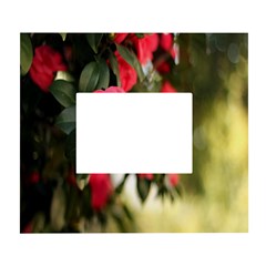 Flower White Wall Photo Frame 5  X 7  by artworkshop