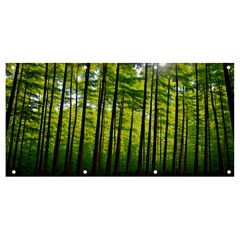 Green Forest Jungle Trees Nature Sunny Banner And Sign 8  X 4  by Ravend