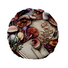 Toadstools And Charms For Necromancy And Conjuration Standard 15  Premium Flano Round Cushions by GardenOfOphir