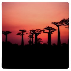 Baobabs Trees Silhouette Landscape Sunset Dusk Uv Print Square Tile Coaster 