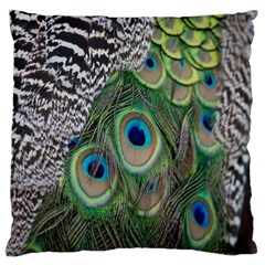 Peacock Bird Feather Colourful Standard Premium Plush Fleece Cushion Case (one Side)