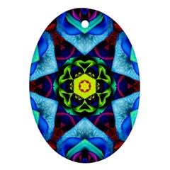 Abstract Kaleidoscope Digital Ornament (oval)