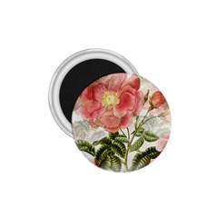 Flowers-102 1 75  Magnets by nateshop
