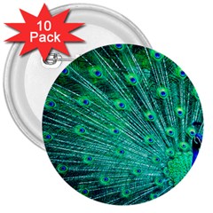 Green And Blue Peafowl Peacock Animal Color Brightly Colored 3  Buttons (10 Pack)  by Semog4