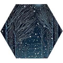 Snow Christmas Starry Night Wooden Puzzle Hexagon