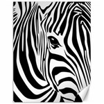 Animal Cute Pattern Art Zebra Canvas 12  x 16 