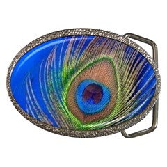 Blue Peacock Feather Belt Buckles by Amaryn4rt