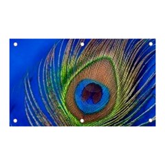 Blue Peacock Feather Banner And Sign 5  X 3  by Amaryn4rt
