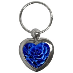 Blue Roses Flowers Plant Romance Blossom Bloom Nature Flora Petals Key Chain (heart) by pakminggu