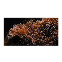 Sea Anemone Coral Underwater Ocean Sea Water Satin Wrap 35  X 70  by pakminggu