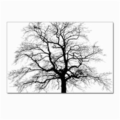 Tree-silhouette-winter-plant Postcard 4 x 6  (pkg Of 10) by 99art