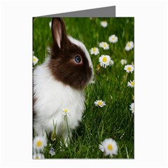 Rabbit Greeting Cards (pkg Of 8) by artworkshop