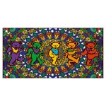 Grateful Dead Pattern Banner and Sign 6  x 3 