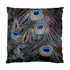 Peacock Feathers Peacock Bird Feathers Standard Cushion Case (one Side) by Ndabl3x