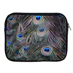 Peacock Feathers Peacock Bird Feathers Apple Ipad 2/3/4 Zipper Cases by Ndabl3x