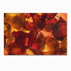 Leaves Fall Autumn Season Orange Postcard 4 x 6  (pkg Of 10) by Ndabl3x