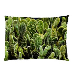 Cactus Flora Flower Nature Floral Pillow Case by Vaneshop