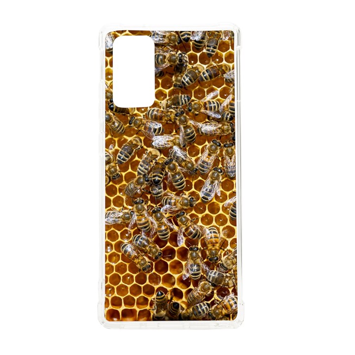 Honey Bee Bees Insect Samsung Galaxy Note 20 TPU UV Case
