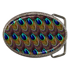 Peacock-feathers-bird-plumage Belt Buckles