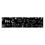 E=mc2 Text Science Albert Einstein Formula Mathematics Physics Banner and Sign 4  x 1 