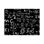 E=mc2 Text Science Albert Einstein Formula Mathematics Physics Premium Plush Fleece Blanket (Mini)