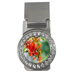 Gathering Sping Flowers Wallpapers Money Clips (cz)  by artworkshop