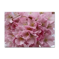 Cherry-blossoms Sticker A4 (100 Pack) by Excel