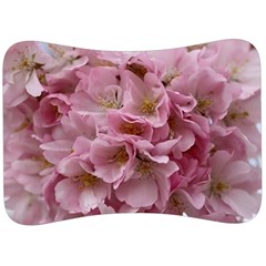 Cherry-blossoms Velour Seat Head Rest Cushion by Excel