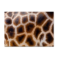 Giraffe Skin Design Sticker A4 (100 Pack) by Excel