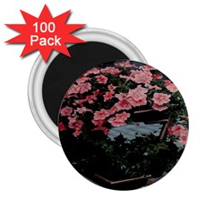 Pink Peony  Flower 2 25  Magnets (100 Pack)  by artworkshop