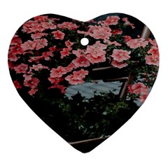 Pink Peony  Flower Heart Ornament (two Sides) by artworkshop