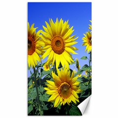 Sunflower Gift Canvas 40  X 72  by artworkshop