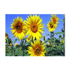Sunflower Gift Crystal Sticker (a4) by artworkshop