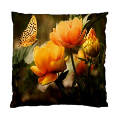 Yellow Butterfly Flower Standard Cushion Case (one Side) by artworkshop