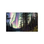 Northern Lights Aurora Borealis Sticker Rectangular (100 pack)