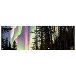 Northern Lights Aurora Borealis Banner and Sign 9  x 3 