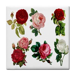 Roses-white Tile Coaster by nateshop