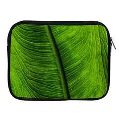 Green-leaf-plant-freshness-color Apple Ipad 2/3/4 Zipper Cases
