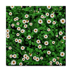 Daisies Clovers Lawn Digital Drawing Background Face Towel
