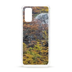 Wilderness Palette, Tierra Del Fuego Forest Landscape, Argentina Samsung Galaxy S20 6 2 Inch Tpu Uv Case