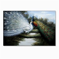 Canvas Oil Painting Two Peacock Postcards 5  X 7  (pkg Of 10) by Grandong
