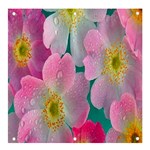 Pink Neon Flowers, Flower Banner and Sign 4  x 4 