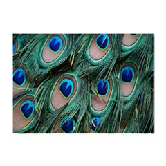 Peacock-feathers,blue2 Crystal Sticker (a4) by nateshop