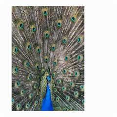 Peacock-feathers1 Small Garden Flag (two Sides) by nateshop