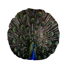 Peacock-feathers1 Standard 15  Premium Round Cushions by nateshop