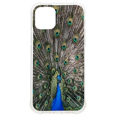 Peacock-feathers1 Iphone 12/12 Pro Tpu Uv Print Case by nateshop